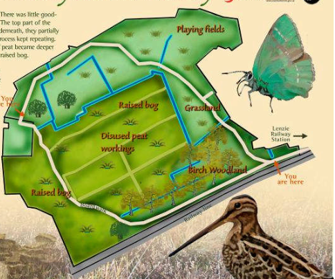 Map Map