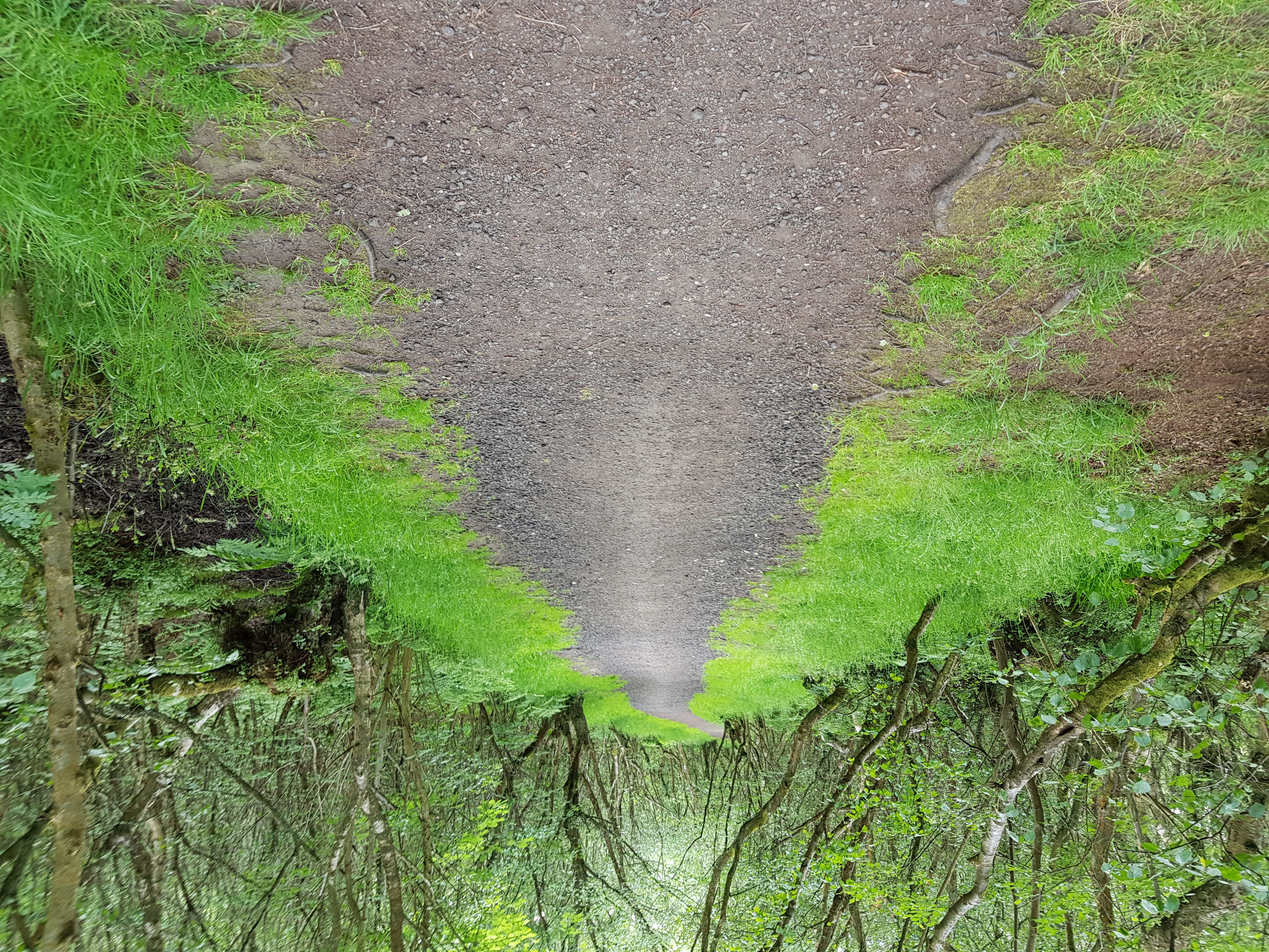 Path Path